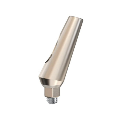 Angulated Abutment 25° Angulated Abutment 25°