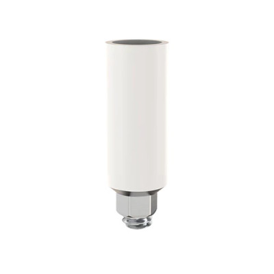 Anti Rotational Titanium Abutment (UCLA)